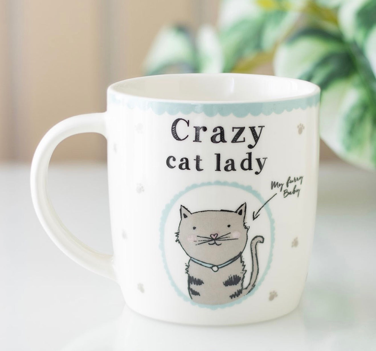 CRAZY CAT LADY BOXED MUG