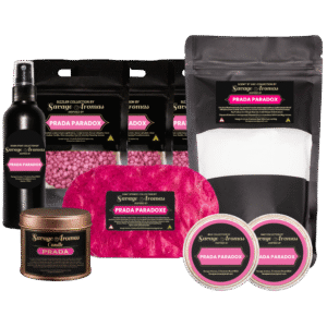 Prada paradox bundle