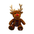 Musical Reindeer Most Wonderful Time of the Year 26x40cm