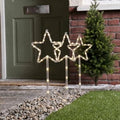 3pk stake lights