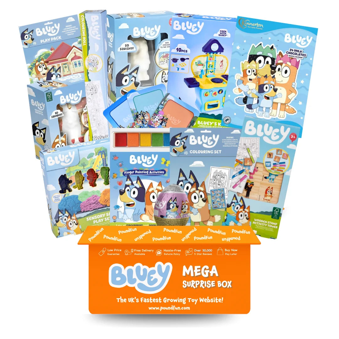 Bluey Mega Surprise Box