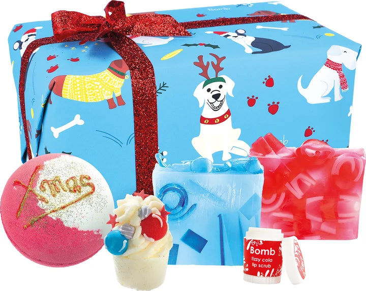 Santa Paws Gift